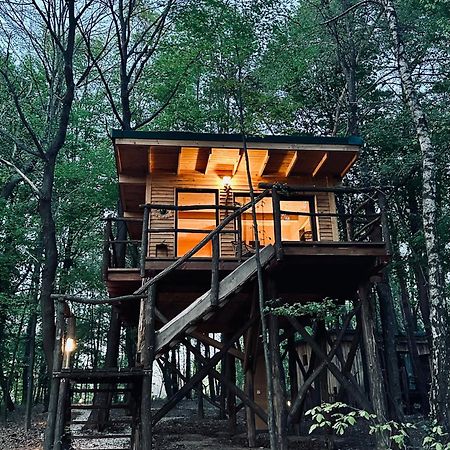 Living Forest Resort Moravske-Toplice Eksteriør billede