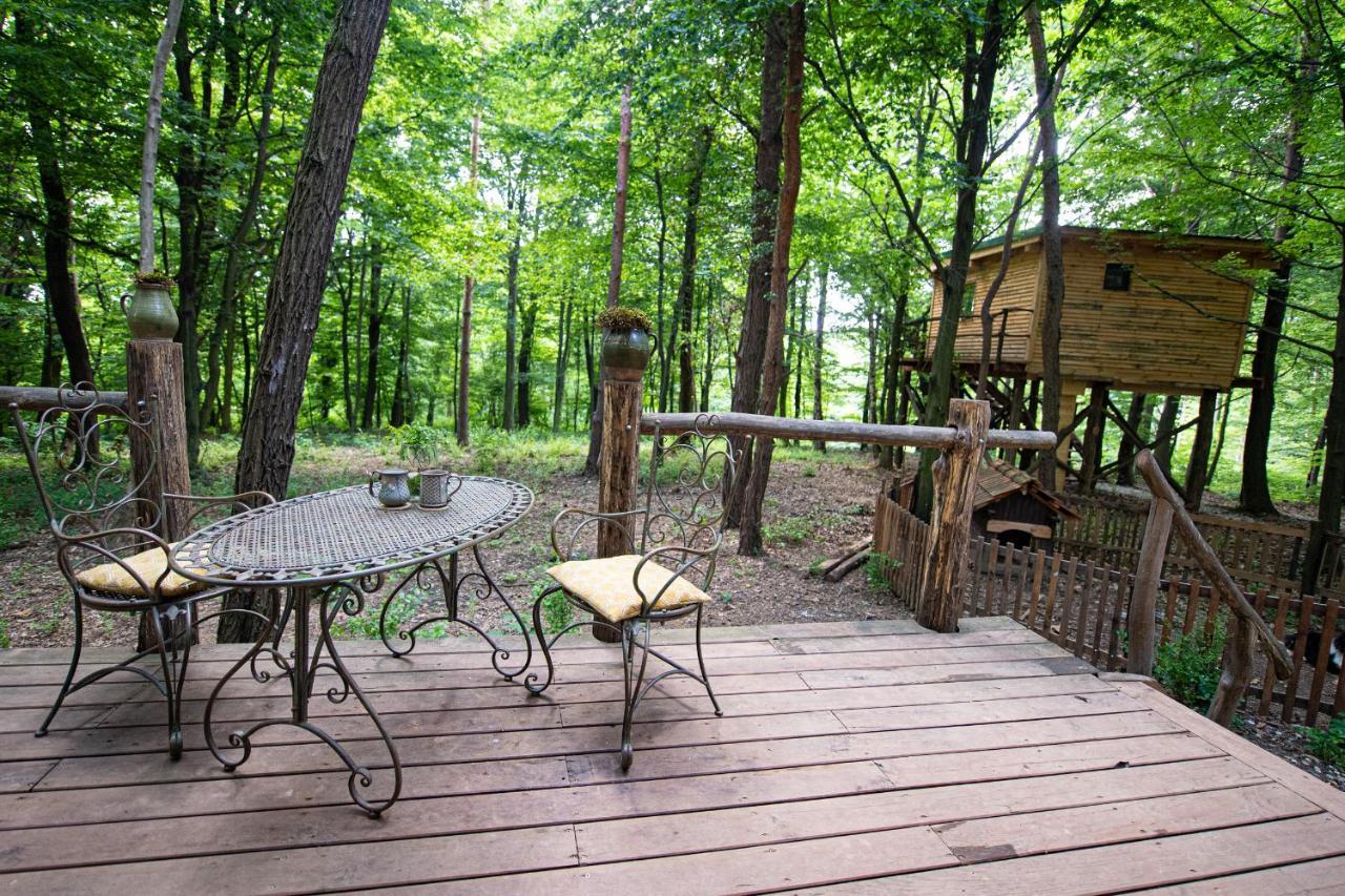 Living Forest Resort Moravske-Toplice Eksteriør billede