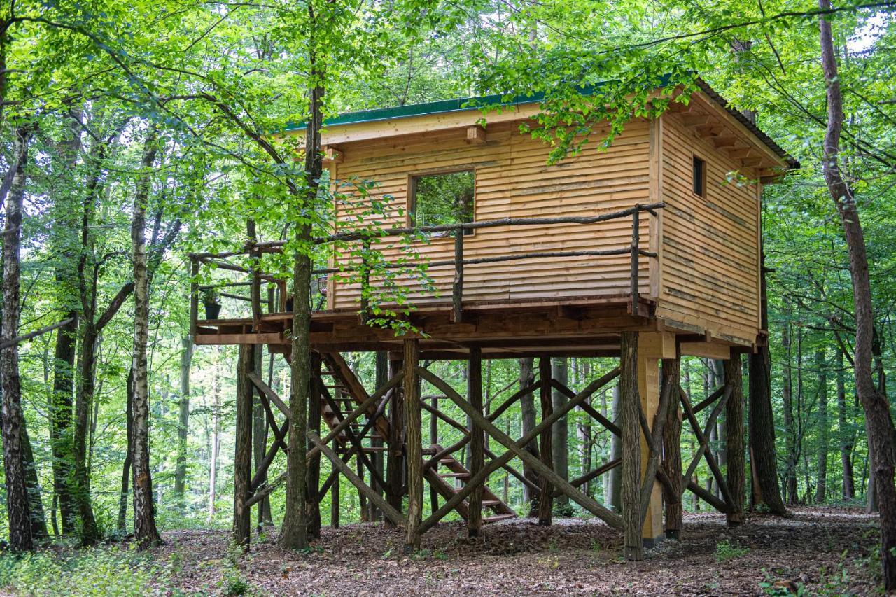 Living Forest Resort Moravske-Toplice Eksteriør billede
