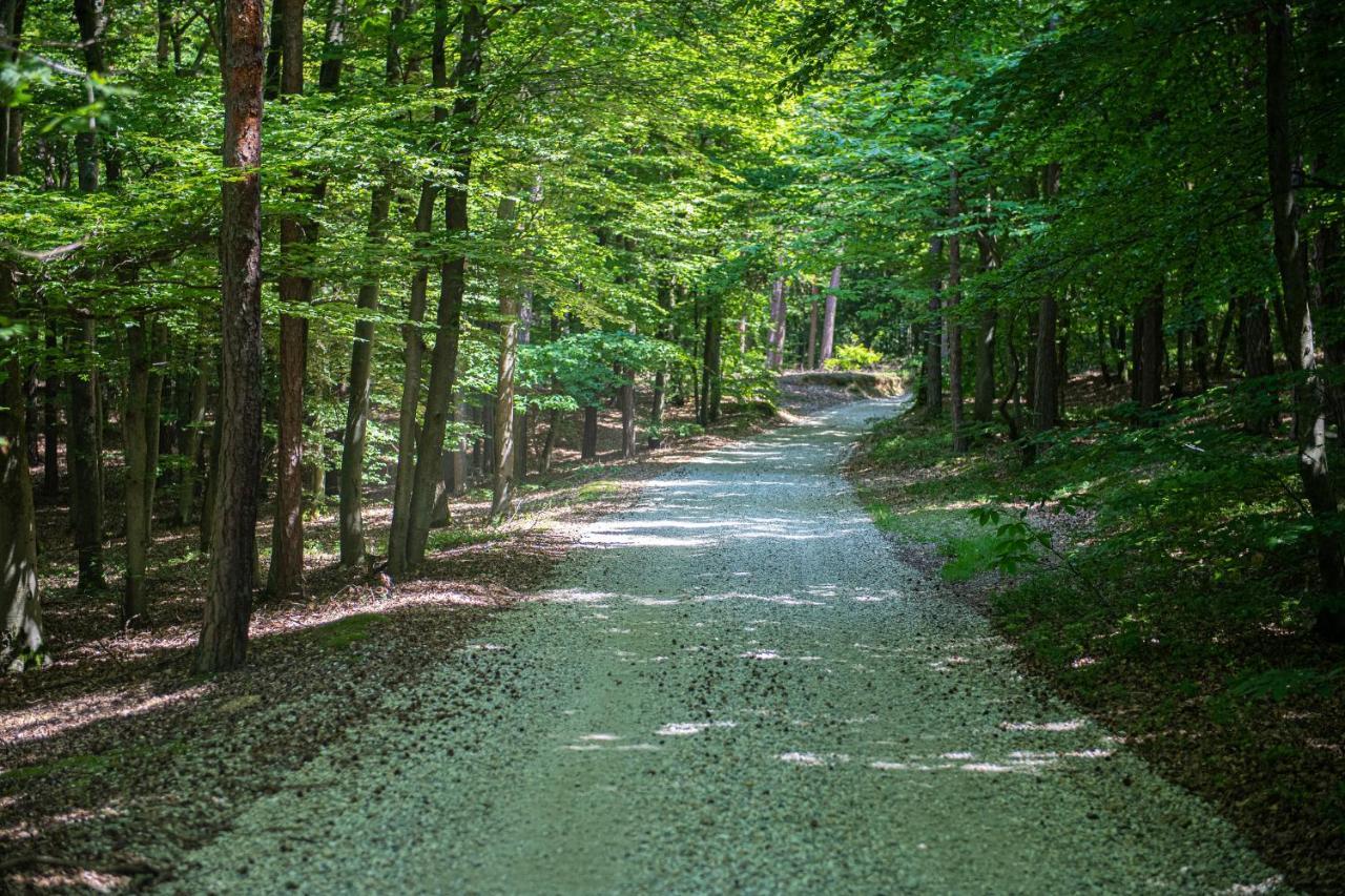 Living Forest Resort Moravske-Toplice Eksteriør billede