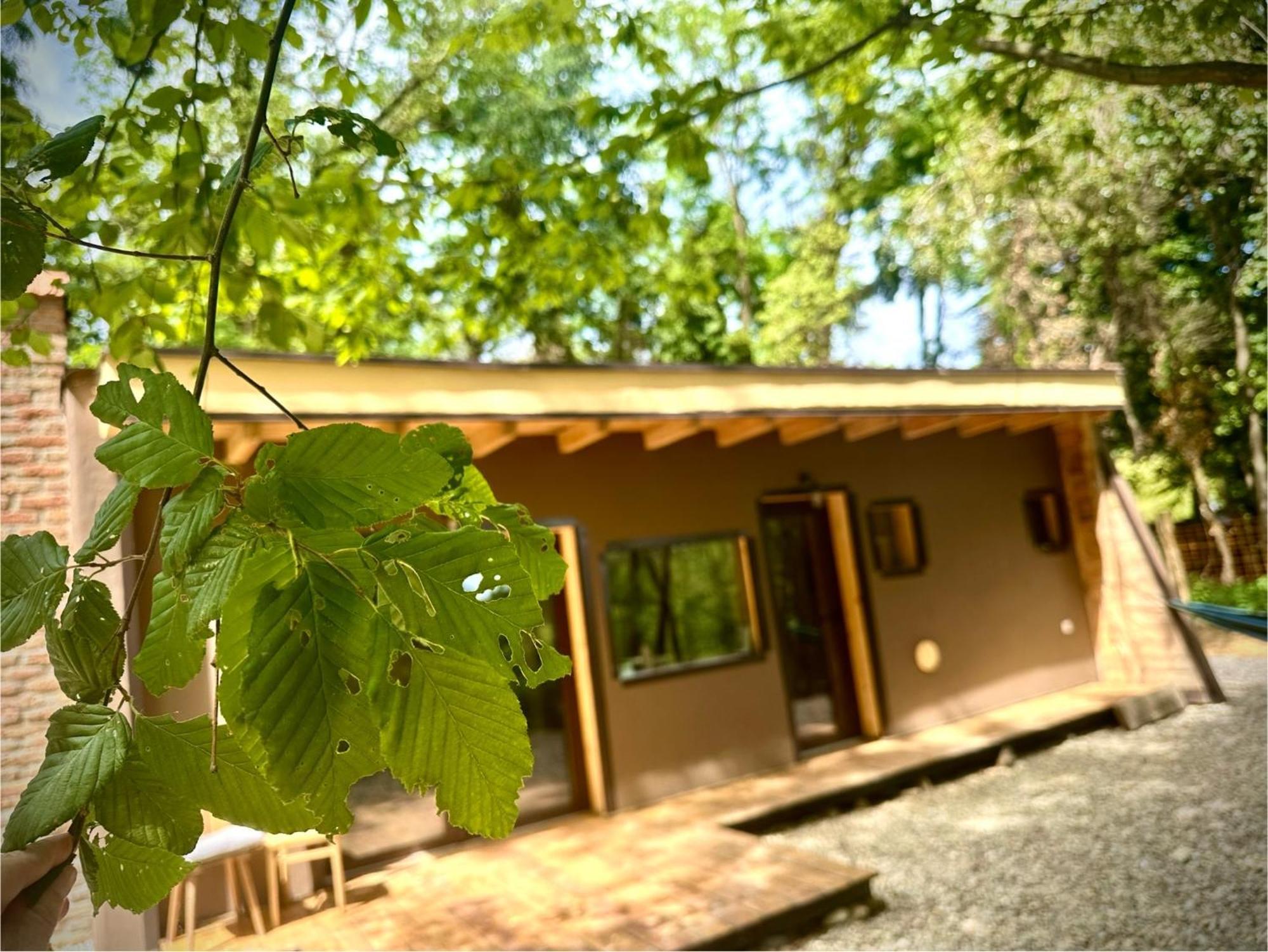Living Forest Resort Moravske-Toplice Eksteriør billede